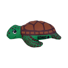 MAXX TURTLE