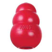 Kong Classic